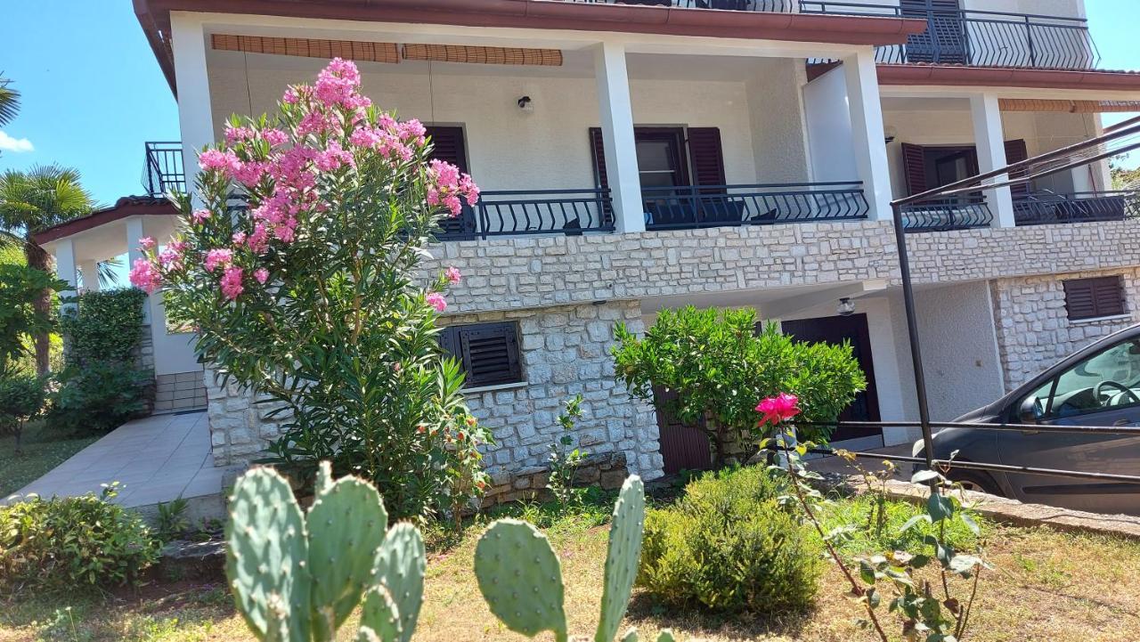 Apartments Nina, Pinta & Santa Maria Nova Vas  Exterior photo
