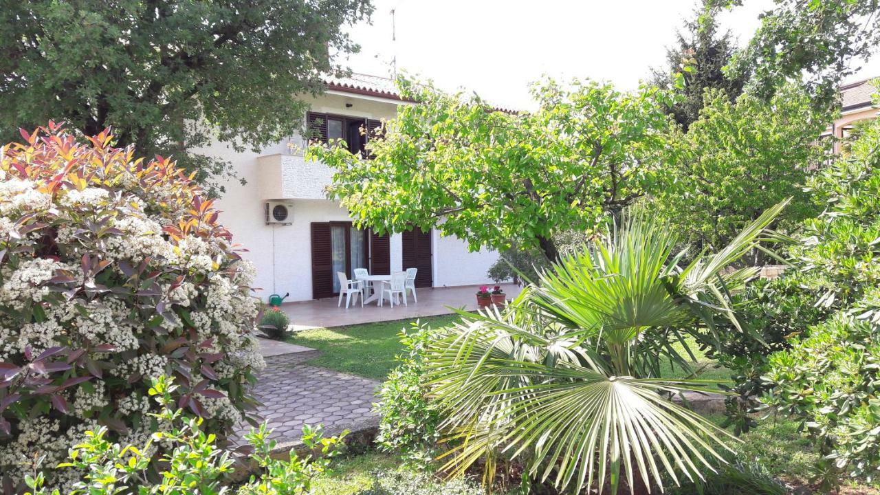 Apartments Nina, Pinta & Santa Maria Nova Vas  Exterior photo